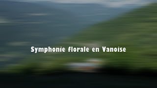 Symphonie florale en Vanoise [upl. by Buonomo]