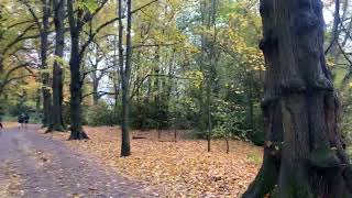 Walking at Hampstead Heath  One of the best parks of London [upl. by Naples]