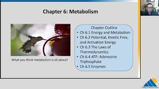 BIOL201 Ch61  Energy and Metabolism [upl. by Edsel394]