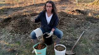 Growing on a Budget Using Horse Manure [upl. by Els]