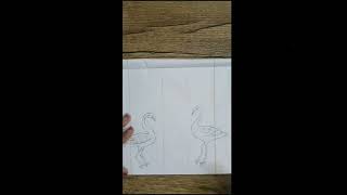 🤠🐥 Crane drawing NabasArtamp Craft 🎇😎🐥 [upl. by Anialahs]