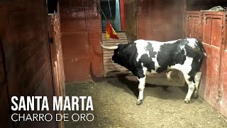 Santa Marta 2024 Charro de Oro [upl. by Dick]