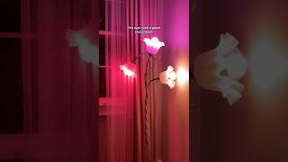 Setting up my flower lamp unboxing lighting homedecor floorlamp flowerlamp cozylights [upl. by Dnalel]