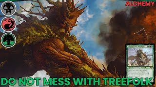 OPPONENTS boil em mash em stick em in a stew  Treefolk Deck  MTG Alchemy LotR [upl. by Aehtna132]