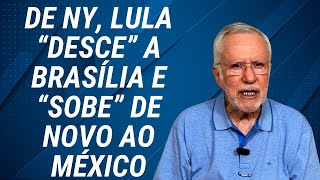 Recebem bolsa família e gastam em apostas [upl. by Anival]