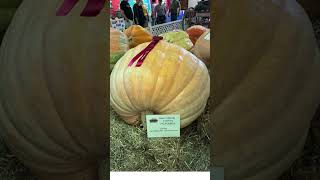 HOPKINTON STATE FAIR  CONTOOCOOK NH Part 4 829 92 2024 statefair newhampshire [upl. by Aidnac]