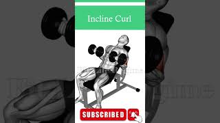 Long Head Bicep Dumbbell Exercises [upl. by Mackie]