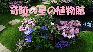 奇跡の星の植物館【淡路花博2015】② [upl. by Nomra887]