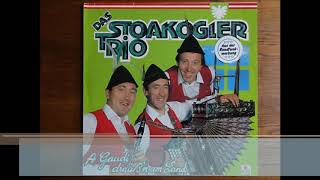 Das Stoakogler Trio  Flottes Medley Instrumental 1974 bis 1987 [upl. by Atiluj]