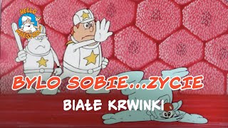 Bylo Sobie Zycie 🌱 Białe krwinki 🧘 [upl. by Amaso296]