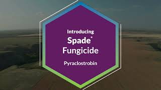 Spade® Fungicide [upl. by Adnwahsal589]