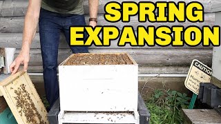 Beekeeping How To Expand amp Grow Your Bees In The Spring [upl. by Annoet]