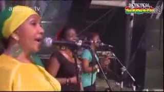 Andrew Tosh  Legalize it ¨ Live at Rototom 2012 [upl. by Oniskey598]