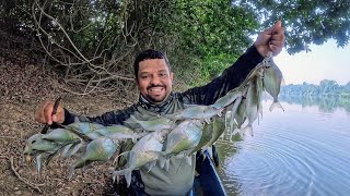 ERA UM PEIXE ATRÁS DO OUTRO PESCARIA E ALMOÇO NA BEIRA DO RIO [upl. by Hgiellek852]