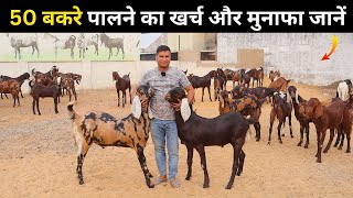 50 बकरे पालने का खर्च और मुनाफा जानें  Goat Farming Secrets Goat Farming Business  Bakri Palan [upl. by Einahc]