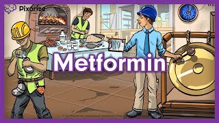 Metformin USMLE Mnemonic [upl. by Irrot]