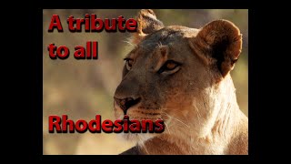 Tribute to all Rhodesians [upl. by Aninep]