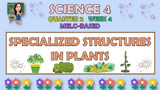 SCIENCE 4  QUARTER 2 WEEK 4  SPECIALIZED STRUCTURES IN PLANTS  MELCBASED [upl. by Hetty]