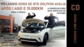 BYD Dolphin  15000 km de puro suco de Brasil deixaram marcas no Chinês [upl. by Farrell132]