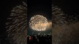 🥰🎇🎆 trending 2023 feuerwerk pyrotechnics bestfireworks pyroforlife viralvideo youtubeshorts [upl. by Ayotol]