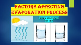 Factors Affecting Evaporation Process Experiment for Kids  Dakshit Rawat  science experiment [upl. by Anawek]