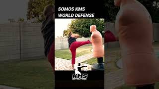 Patada Giratoria Nivel Moderado  Artes Marciales [upl. by Kaleb79]