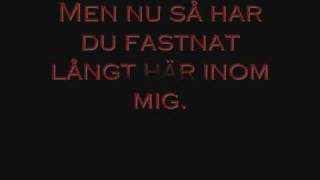 Synd att du är så söt Lyrics [upl. by Aonehc]