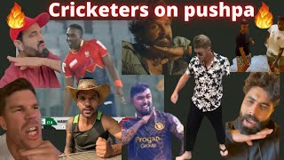 Pushpa mania on cricketers over the globe pushpa fire [upl. by Alaric]