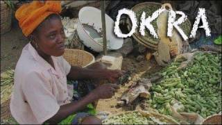 What is Okra  How to Make Fried Okra Recipe [upl. by Desmund485]