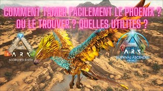 COMMENT TAMER LE PHOENIX FACILEMENT  SCORCHED EARTH ARK ASCENDED [upl. by Irek646]