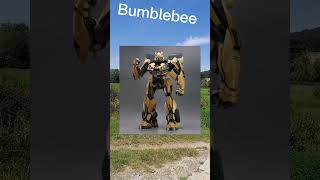 Bumblebee edit [upl. by Aehcim994]