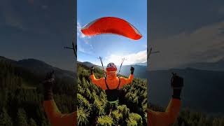 Flying Close Over Farnere Forest  Calm Morning Paragliding in 3rd Person View [upl. by Allicirp]