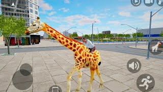 Giraffe🦒 Cheat Code  Indian Car Bike Drive GTIV  New Update 😀 [upl. by Acinoreb716]