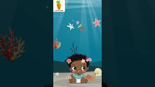 Starfish  Learning About Marine Life for Children  Cuteni Song For Kids  Animal shorts study [upl. by Barby597]