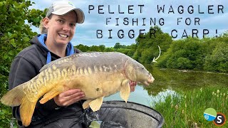 Pellet Waggler Fishing for Big Carp [upl. by Ram]