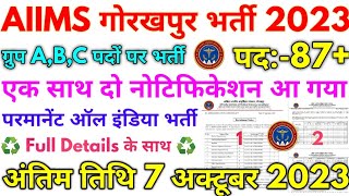 AIIMS गोरखपुर भर्ती 2023  AIIMS Group A B C Permanent Vacancy Notification 2023 [upl. by Mahan59]