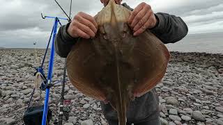 PORLOCK WEIR 18 10 24 beachfishing seafishinguk bristolchannel [upl. by Desdee]