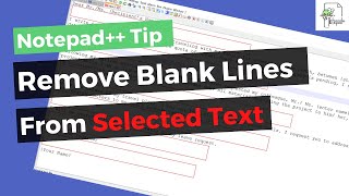 Remove Blank Lines in Selected Text from file in Notepad [upl. by Bentley]