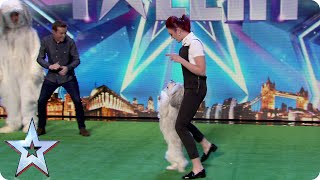 David Vs Ashley and Pudsey lets dance  Britains Got Talent 2015 [upl. by Auqenat]