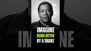 Imagine Being Bitten By A Snake 🐍 Denzel Washington [upl. by Sukul]