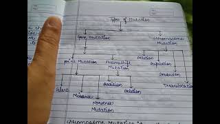 mutation  उत्परिवर्तन म्यूटेशन definitiontypesdiagramshandwritten notes In Hindi [upl. by Jowett]