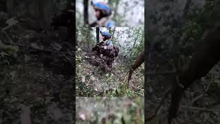 Fearless Ukraine soldier clears Russian trench with grenades and heavy gunfire [upl. by Nylirek]