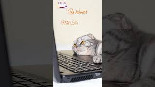 Tierkommunikation – 🐾 LiveWebinar am 05052023 💖 [upl. by Anairb]