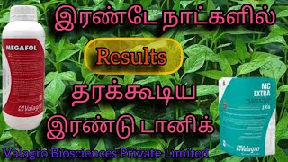 VALAGRO வின் சிறந்த மருந்து magafal agriculturetips nutritiontips fertilizer agro [upl. by Aneleiram]