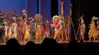 Lion King Standing Ovation  Curtain Call Lyceum Theatre West End [upl. by Anele]