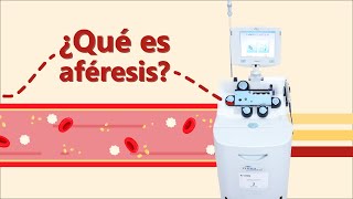 ¿Qué es Aféresis [upl. by Enomes]