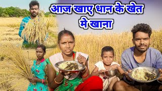 Today eating food in paddy field  आज खाए धान के खेत मे खाना  Rice harvesting video jheatingshow [upl. by Aryamo]