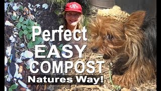 Natures Way No Turn COMPOST Make Your Own Instant Organic Tea Easy amp Free [upl. by Asirahc]