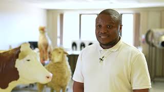 PG Faculty Voice – Marcus Makgabo PhD Veterinary Science [upl. by Cypro260]