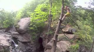 Cliff Jumping Fawns Leap [upl. by Gemma]